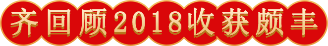 2019同心同行，共筑鑫海主題年會